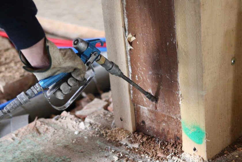 traitement anti-termites à la Réunion