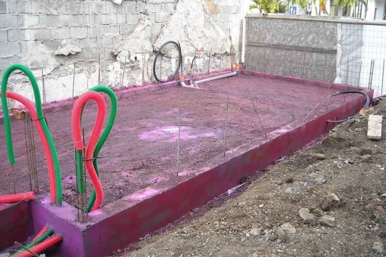 Pourquoi lutter de façon préventive contre les termites à la Réunion ?